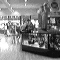 Bergen Camera