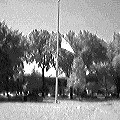 Van Neste Square